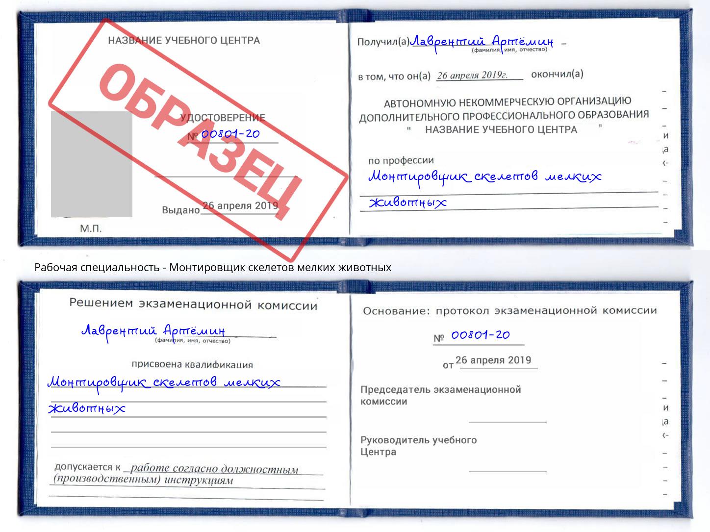 Монтировщик скелетов мелких животных Черняховск