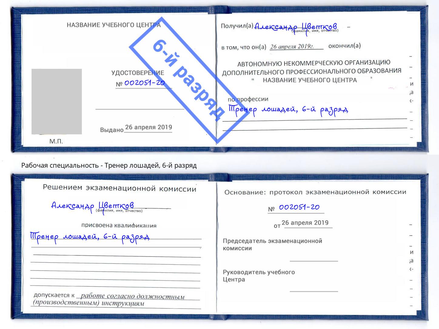 корочка 6-й разряд Тренер лошадей Черняховск