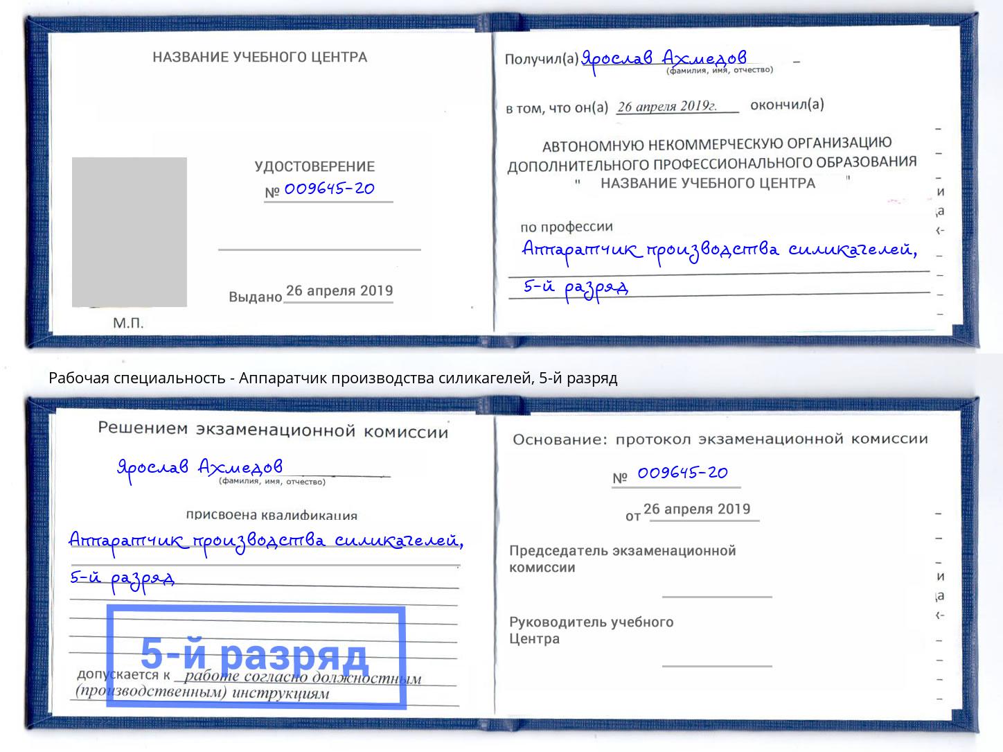 корочка 5-й разряд Аппаратчик производства силикагелей Черняховск