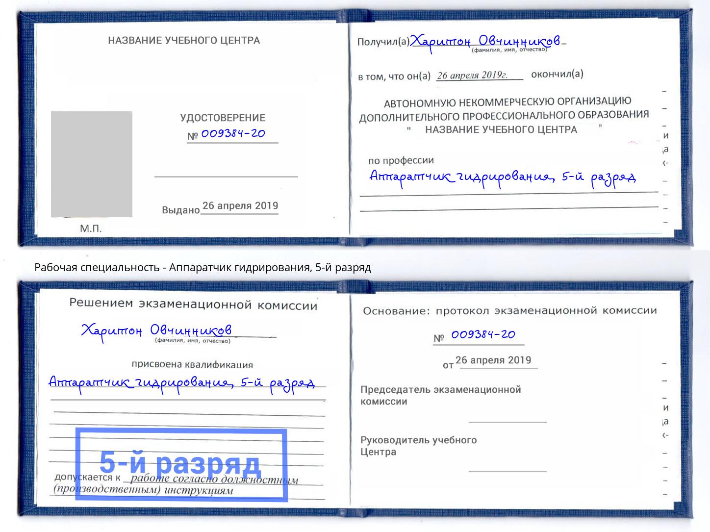 корочка 5-й разряд Аппаратчик гидрирования Черняховск